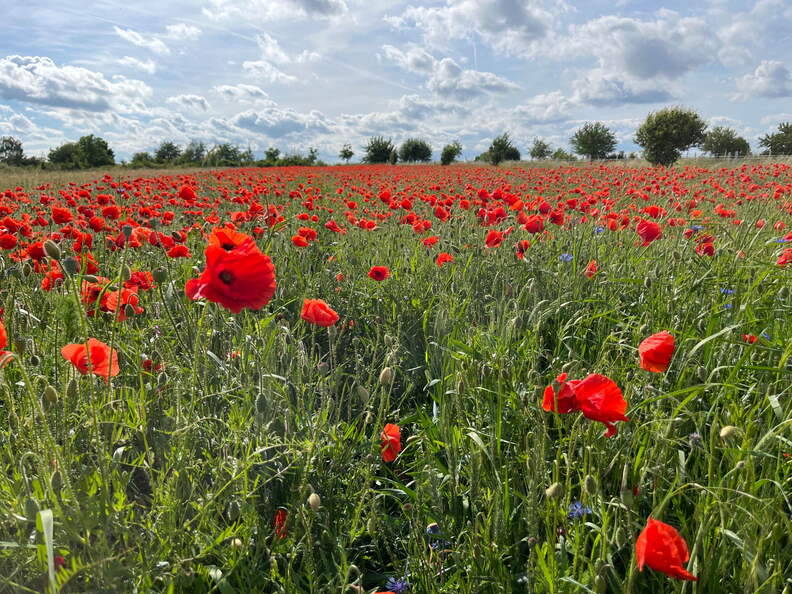 22-05-27 17-23-49 0918